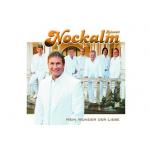 04-08-2010 - musikmarkt - schlager-charts - nockalm_quintett.jpg